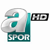 Partner 6