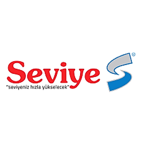 Seviye Koleji