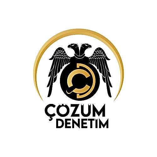 Çözüm Denetim